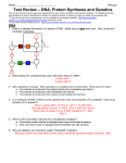 DNA Protein and Genetics Study Guide KEY