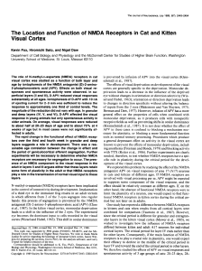 The Location and Function of NMDA Receptors in Cat