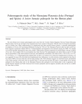 Paleomagnetic study of the Messejana Plasencia dyke - E