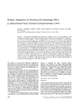 Primary Sequence of Ovomucoid Messenger RNA