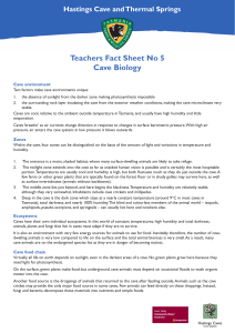 Teachers Fact Sheet No 5 Cave Biology