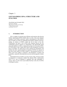 LEFT-HANDED Z-DNA: STRUCTURE AND FUNCTION