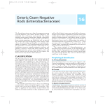 Enteric Gram-Negative Rods (Enterobacteriaceae)