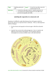 Level Labelling the organelles of a eukaryotic cell