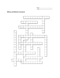 Mitosis and Meiosis Crossword