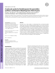 A molecular probe for Basidiomycota: the spermidine