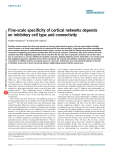 Fine-scale specificity of cortical networks depends on inhibitory cell