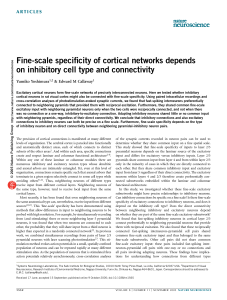 Fine-scale specificity of cortical networks depends on inhibitory cell