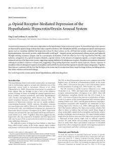 μ-Opioid Receptor-Mediated Depression of the Hypothalamic