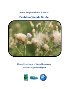 Problem Weeds Guide - Millennium Reserve