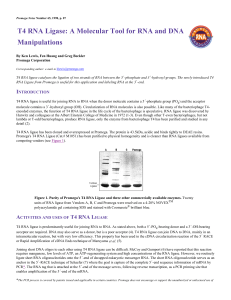 Promega Notes: T4 RNA Ligase: A Molecular Tool for RNA and DNA