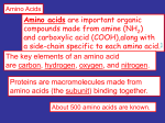 Amino acids are important organic compounds made from amine