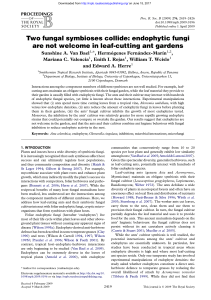 endophytic fungi are not welcome in leaf