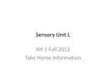HSI 3.03 and 3.04 Sensory Unit L