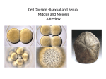 Cell Division -Asexual and Sexual Mitosis and Meiosis A Review