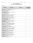 Cell Organelles Worksheet