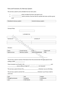 Parts and Functions of a Nervous System