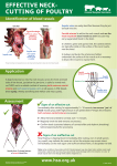 EFFECTIVE NECK- CUTTING OF POULTRY