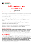 Pollinators and Gardening