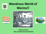 Let Worms Eat Your Garbage, and Improve Your Soil!!