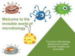 Welcome to the invisible world of microbiology