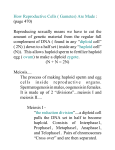 How Reproductive Cells ( Gametes) Are Made : (page 470