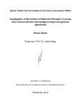 Investigation of the function of Retionid X Receptor in mouse