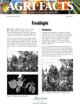 Fireblight - Alberta Agriculture and Forestry