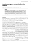 Female gametophyte-controlled pollen tube guidance