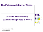 The Pathophysiology of Stress