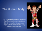 The Human Body - Riverdale Middle School