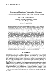 Structure and Function of Mammalian Ribosomes