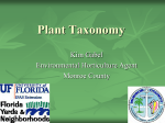 Plant Taxonomy - UF-IFAS Monroe County Extension Services