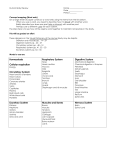 Homeostasis Cellular respiration Circulatory System