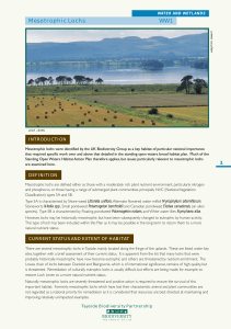 Mesotrophic Lochs WW1 - Tayside Biodiversity