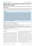 paper on modeling food webs