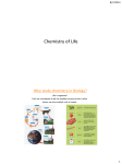Chemistry of Life - El Camino College