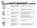 Cell Organelle Chart