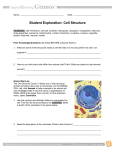 Cell Structure Gizmo