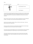 Science Chapter 5 Study Sheet