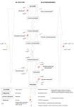 GLYCOLYSIS GLUCONEOGENESIS