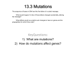 13.3 Mutations