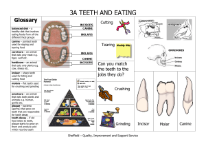 3A TEETH AND EATING