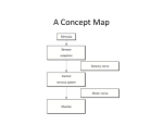 A Concept Map