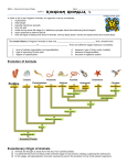 (null): SBI3U Kingdom Animalia Intro Handout