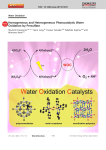 Homogeneous and Heterogeneous Photocatalytic Water Oxidation