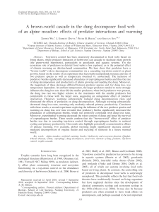 A brown-world cascade in the dung decomposer food web of an