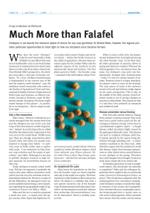 Much More than Falafel