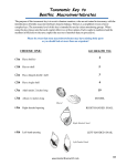 Taxonomic Key to Benthic Macroinvertebrates