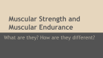 Muscular Strength and Muscular Endurance